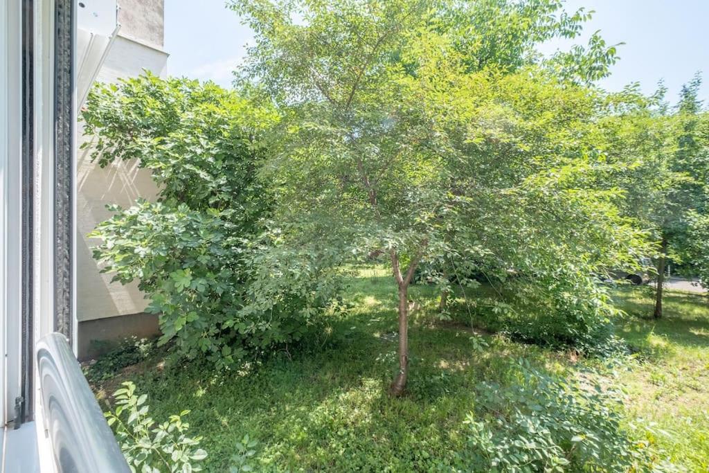 Top Location, Brand New 3 Bdrm Apt & Free Parking ソフィア エクステリア 写真