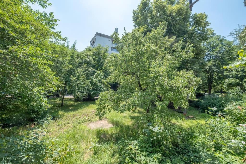 Top Location, Brand New 3 Bdrm Apt & Free Parking ソフィア エクステリア 写真