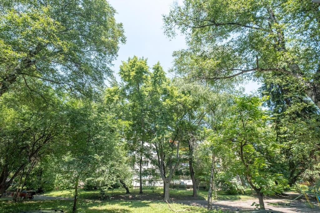 Top Location, Brand New 3 Bdrm Apt & Free Parking ソフィア エクステリア 写真